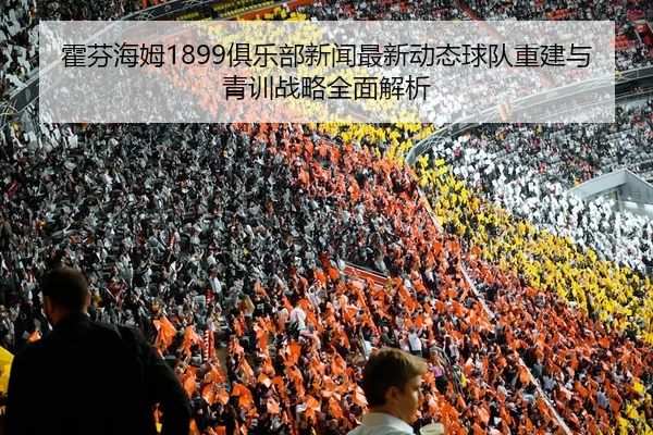 霍芬海姆1899俱乐部新闻最新动态球队重建与青训战略全面解析