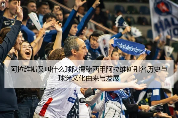 阿拉维斯又叫什么球队揭秘西甲阿拉维斯别名历史与球迷文化由来与发展
