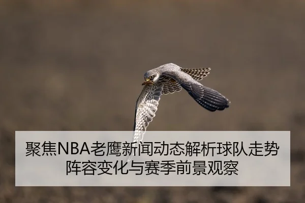 聚焦NBA老鹰新闻动态解析球队走势阵容变化与赛季前景观察