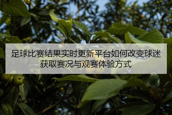 足球比赛结果实时更新平台如何改变球迷获取赛况与观赛体验方式